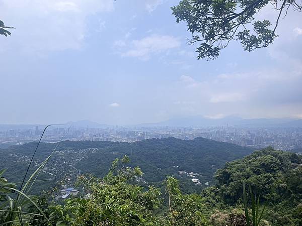 S__4194347.jpg S__4194347.jpg