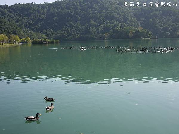 P1150020 P1150020