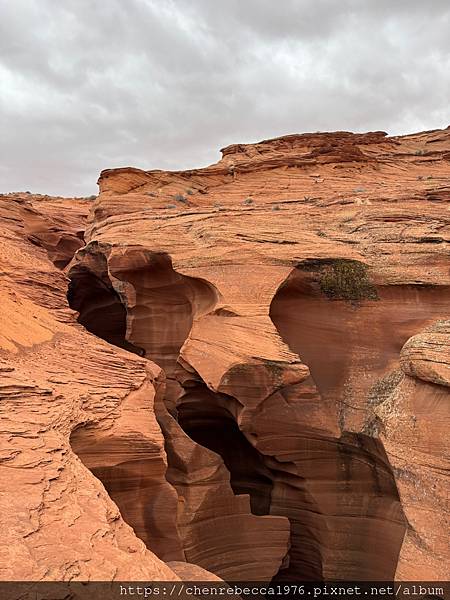 2024美西親子自由行:令人讚嘆的大自然鬼斧神工景致:下羚羊