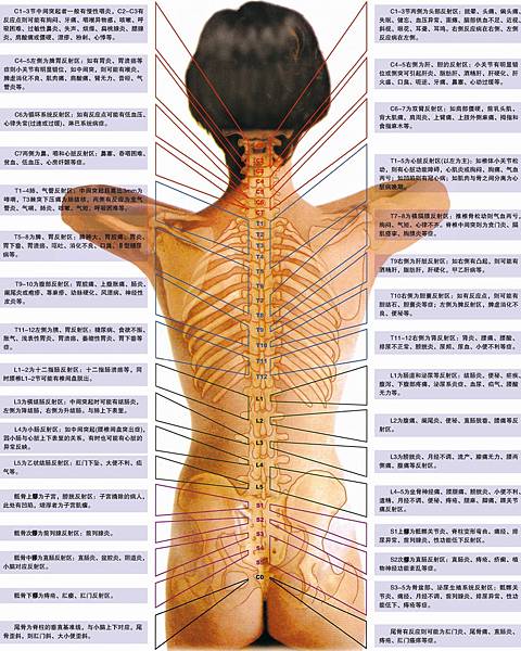 女背脊柱節段損害的相關疾病及症象示意圖.jpg