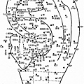 耳朵反射區與全息圖2.jpg