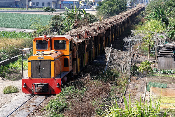 虎尾糖廠_87(1)_20080105