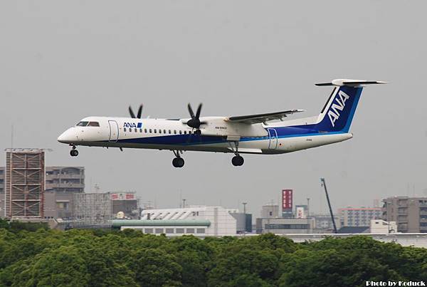 ANA DHC-8-402Q Dash 8(JA841A)@Skypark_2(2)_20110516.jpg