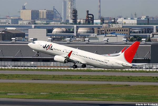 JAL B737-846(WL)(JA336J)@Haneda_1(2)_20110515.jpg