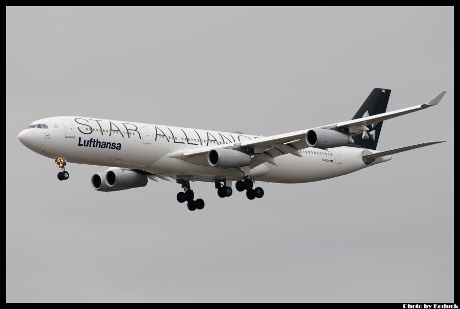Lufthansa A340-311(D-AIGC)@FRA_1(2)_20120224