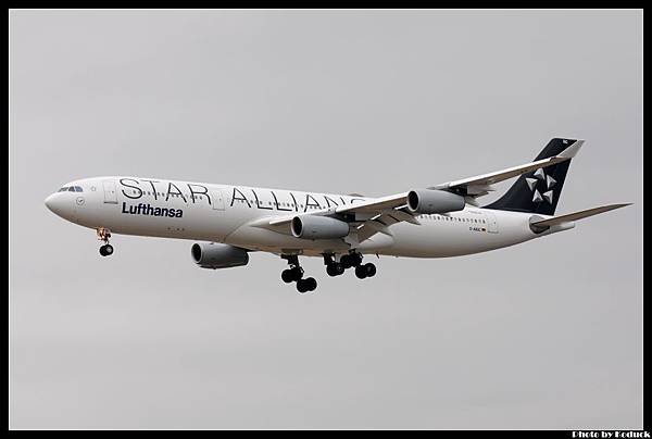Lufthansa A340-311(D-AIGC)@FRA_2(2)_20120224
