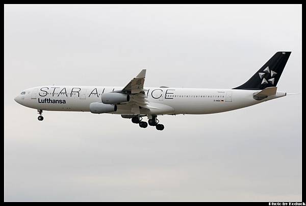 Lufthansa A340-311(D-AIGC)@FRA_3(2)_20120224