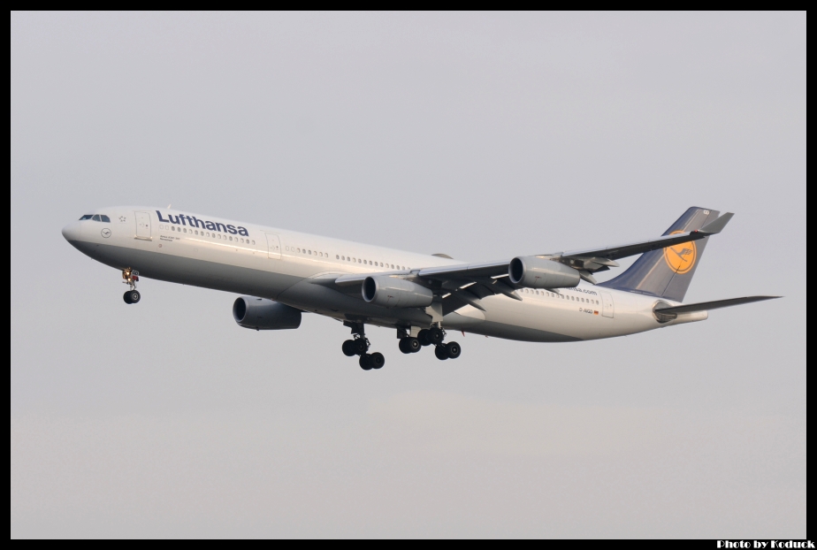 Lufthansa A340-311(D-AIGD)@FRA_1(2)_20120225