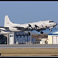 JMSDF P-3C(5042)@ROAH_1(2)_20121020