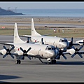 JMSDF P-3C(5091 and 5084)@ROAH_1(2)_20121020