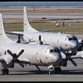 JMSDF P-3C(5091 and 5084)@ROAH_2(2)_20121020