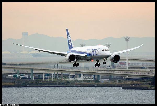 ANA B787-881(JA811A)@RJTT_1(2)_20121103