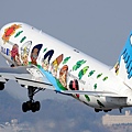 Itami Airport_51_20140111.jpg