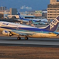 Itami Airport_87_20140111.jpg
