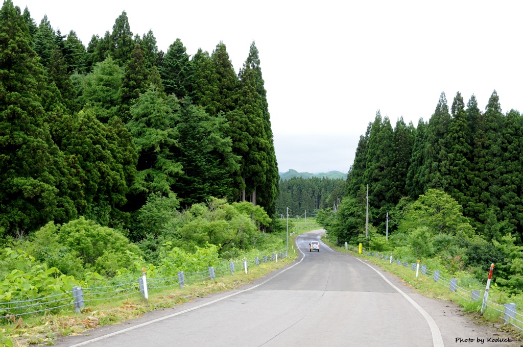 JR北海道津輕海峽線_33_20140620.jpg