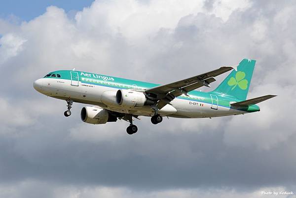 Aer Lingus A319-111(EI-EPT)@LHR_1(1)_20140820.jpg