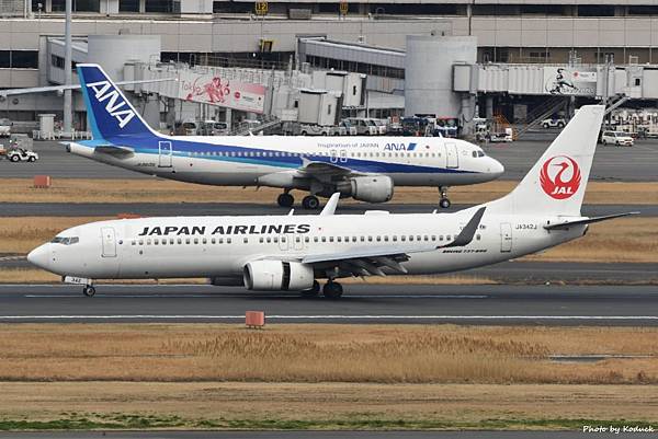 JAL B737-846(WL)(JA342J)@HND_1_20170308.jpg