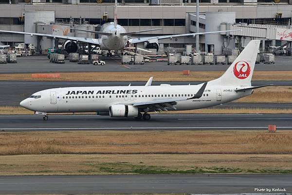 JAL B737-846(WL)(JA346J)@HND_1_20170308.jpg