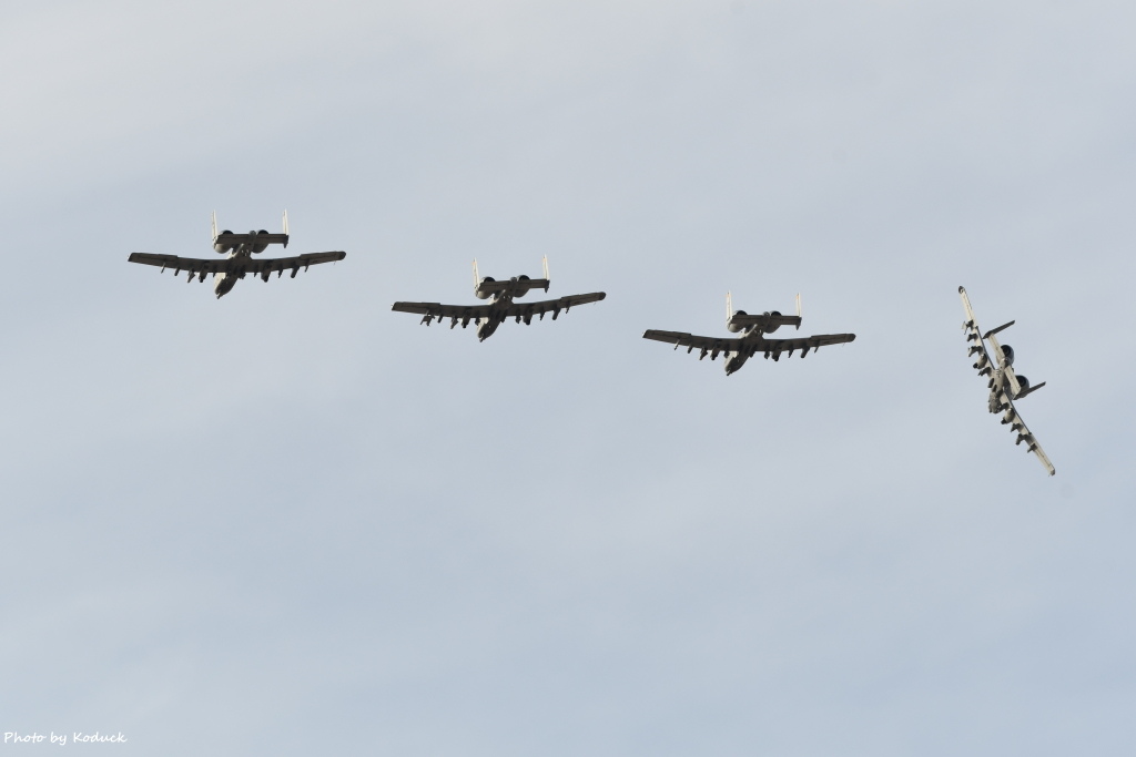 USAF A-10@DMA_18_20180320.JPG