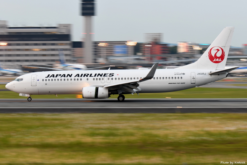 JAL B737-846(WL)(JA325J)@ITM_1_20190601.JPG