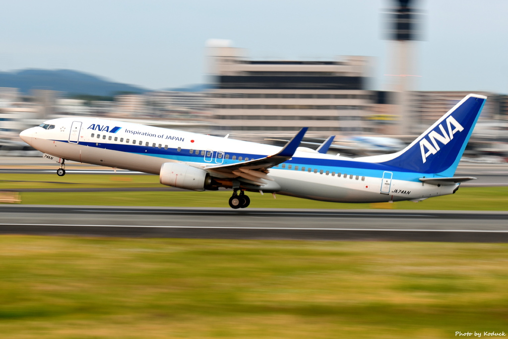 ANA B737-881(WL)(JA74AN)@ITM_2_20190601.JPG