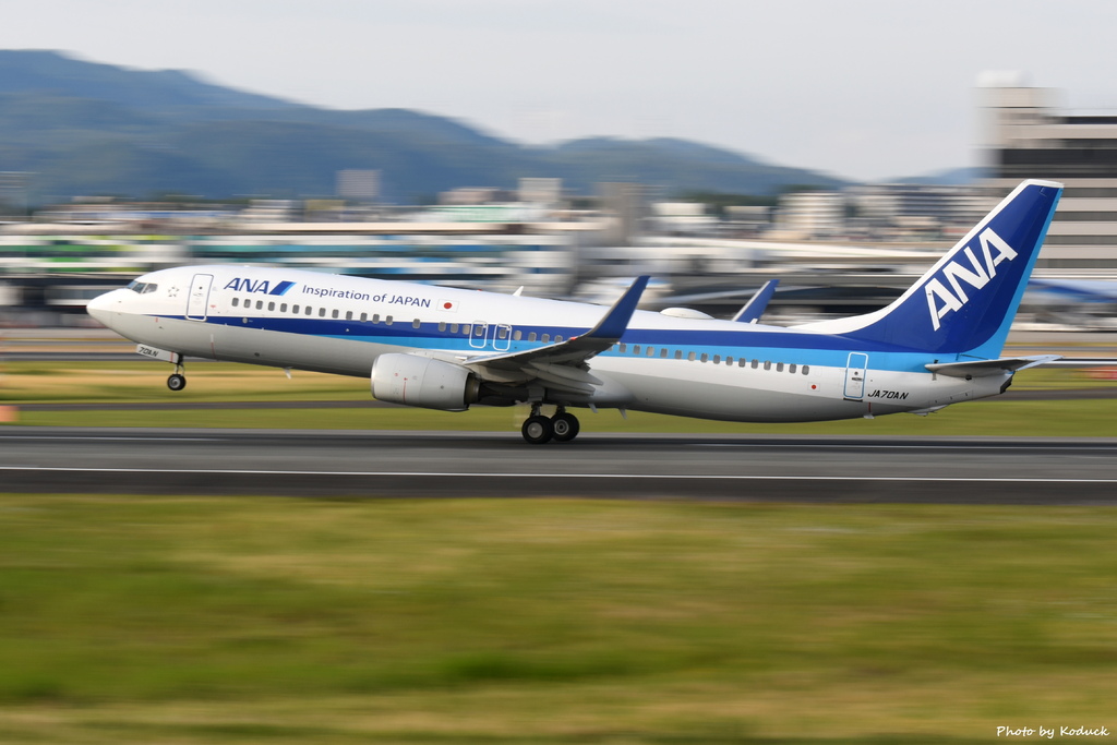 ANA B737-881(WL)(JA70AN)@ITM_1_20190601.JPG