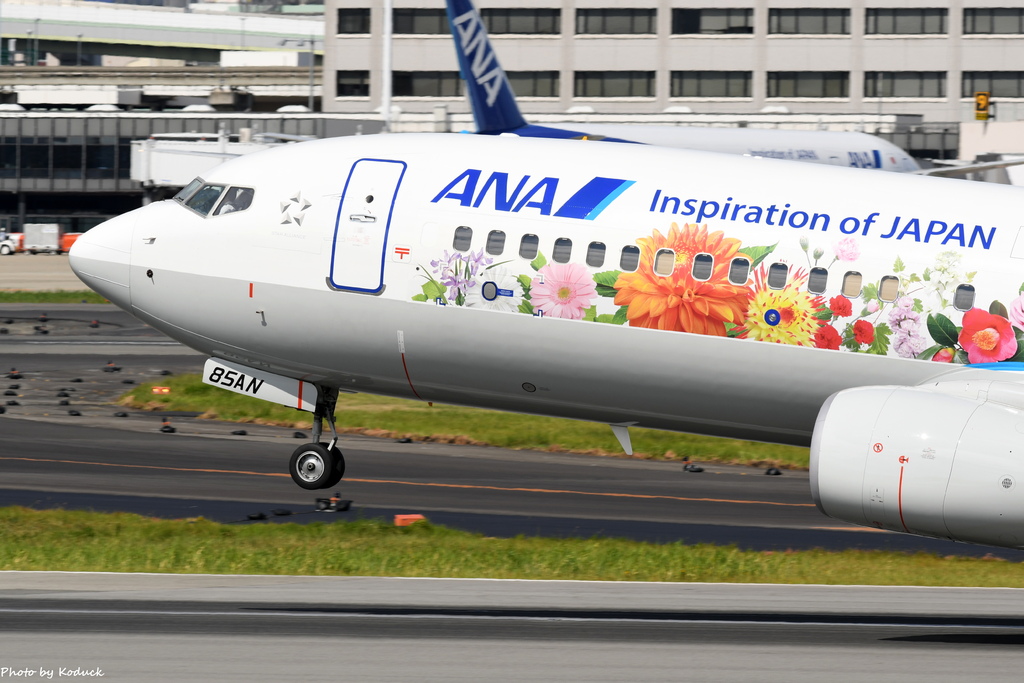 ANA B737-881(WL)(JA85AN)@ITM_1_20160827.JPG