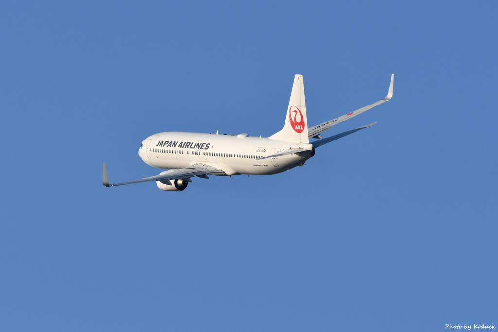 JAL B737-846(WL)(JA329J)@ITM_3_20171128.JPG