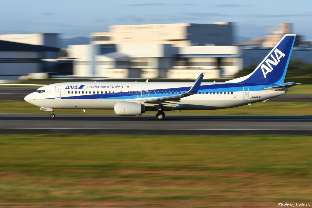 ANA B737-881(WL)(JA86AN)@ITM_3_20160827.JPG