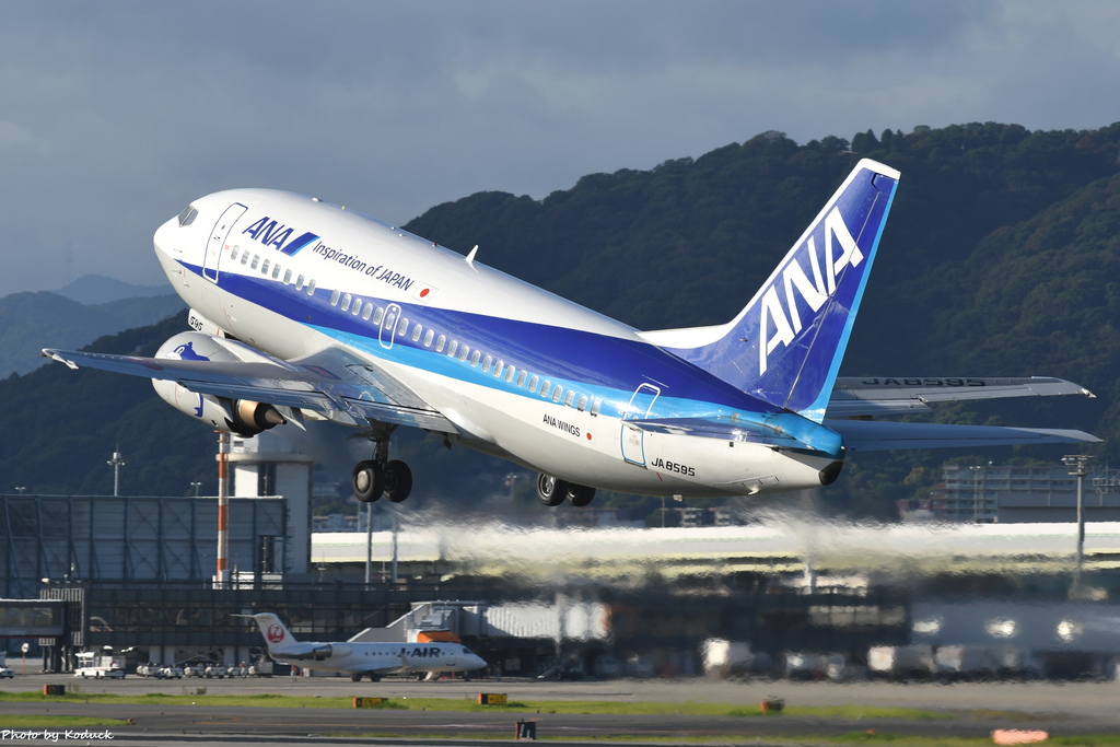 ANA Wings B737-54K(JA8595)@ITM_3_20160827.JPG