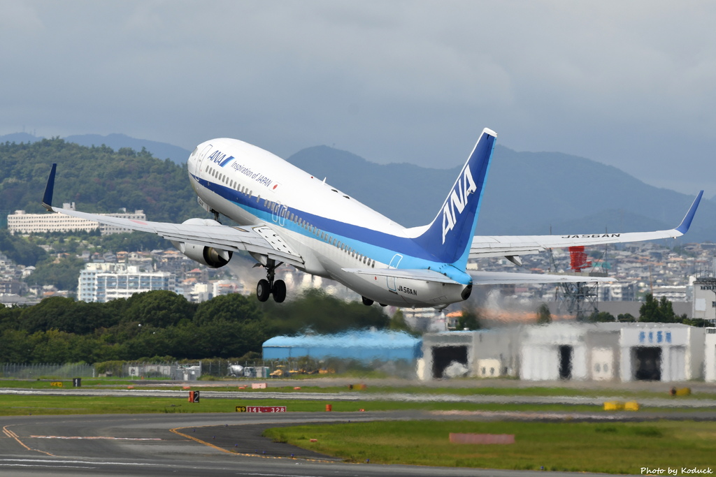 ANA B737-881(WL)(JA56AN)@ITM_2_20160827.JPG