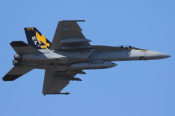 U.S. Navy VFA-115 FA-18E Super Hornet(300)@Atsugi_1(1)_20140113.JPG