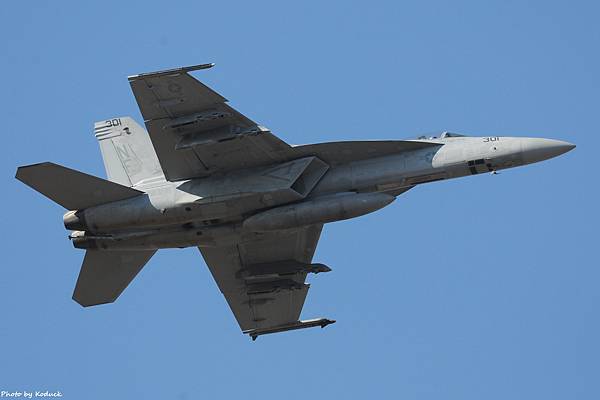 U.S. Navy VFA-115 FA-18E Super Hornet(301)@Atsugi_1(1)_20140113.JPG