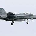 US Marines VMFA(AW)-225 FA-18D Hornet(02)@Atsugi_1(1)_20150515.JPG