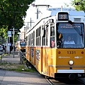 Budapest Trams_23_20230723.JPG
