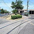 Budapest Trams_33_20230723.JPG