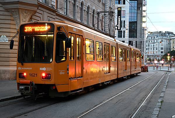 Budapest Trams_50_20230723.JPG