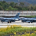 Tsuiki Airbase_19_20241028.JPG
