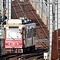 都電荒川線_5_20241122.JPG