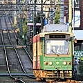 都電荒川線_18_20241122.JPG