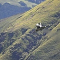 Mach Loop_14_20240611.JPG