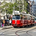Trams in Wien_17(2)_20241231.jpg
