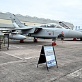RAF Cosford Airshow_45_20240609.JPG