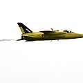 RAF Cosford Airshow_89_20240609.JPG
