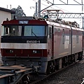 EH500-1牽引貨列@蟹田站_1(1)_20080426(DSC_1905).jpg