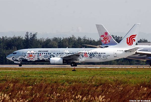 Air China B737-86N(B-5176)@TIA_1(2)_20101223.jpg