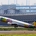 Skynet Asia Airways B737-46Q(JA737A)@Haneda_1(2)_20100911.jpg