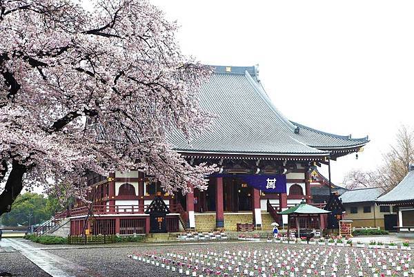 本門寺.jpg