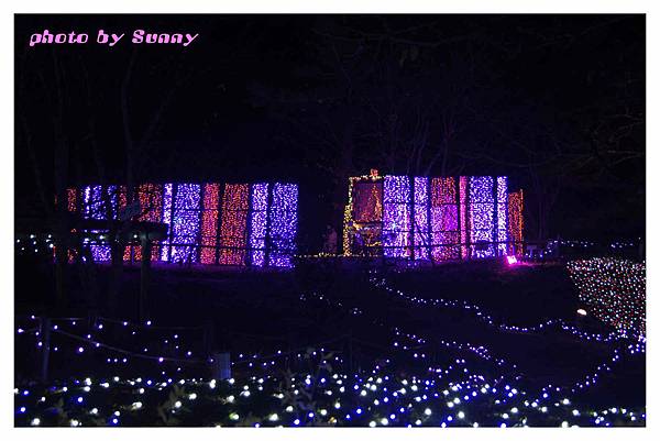 万葉植物園21.jpg