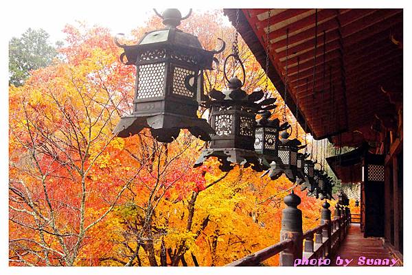 談山神社17.jpg